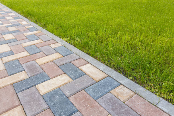 Best Driveway Paving Near Me  in Fayette, AL